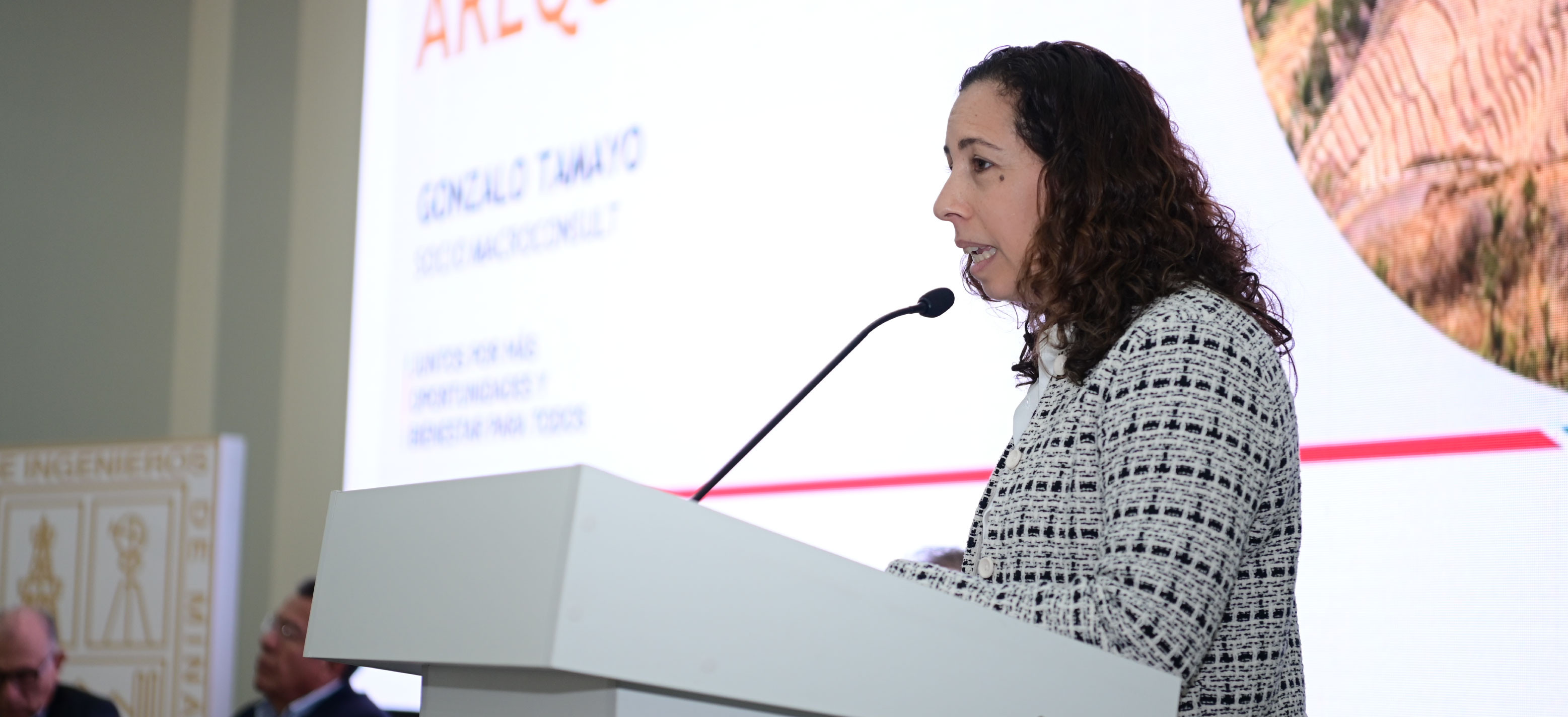 NEWS, INTERVIEWS AND EVERYTHING RELATED TO PERUMIN IN THE MEDIA